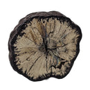 Pyrite & Limonite - Slice - Inner Mongolia, Northern China - Solar Plexus Chakra