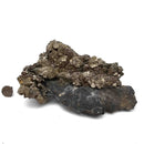Pyrite on Matrix - Specimen