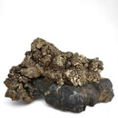 Pyrite on Matrix - Specimen