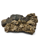 Pyrite on Matrix - Specimen