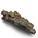 Pyrite on Matrix - Specimen