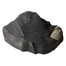 Pyritized Brachiopod - Fossil