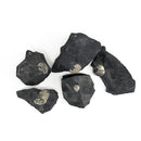 Pyritized Brachiopod - Fossil