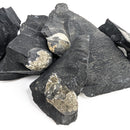 Pyritized Brachiopod - Fossil