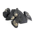 Pyritized Brachiopod - Fossil