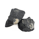 Pyritized Brachiopod - Fossil