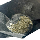 Pyritized Brachiopod - Fossil