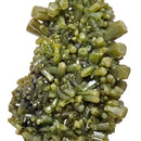 Pyromorphite - Mineral - Idaho, USA - Solar plexus Chakra