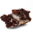 Red Quartz with Goethite - Specimen