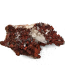 Red Quartz with Goethite - Specimen