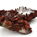 Red Quartz with Goethite - Specimen