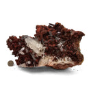 Red Quartz with Goethite - Specimen