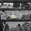 Quartz - Statement Specimen