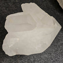 Quartz - Statement Specimen