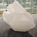 Quartz - Statement Specimen