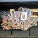 Quartz, Calcite, Pyrite & Chalcopyrite - Statement Specimen - Mexico