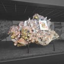 Quartz, Calcite, Pyrite & Chalcopyrite - Statement Specimen - Mexico