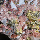 Quartz, Calcite, Pyrite & Chalcopyrite - Statement Specimen - Mexico