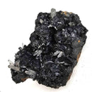 Hematite Roses on Quartz - Specimen