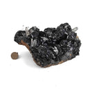 Hematite Roses on Quartz - Specimen