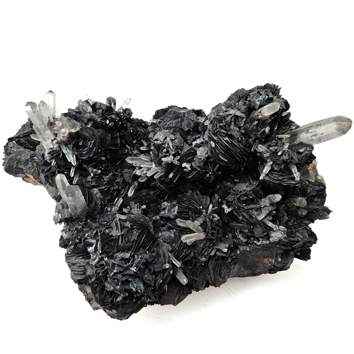 Hematite Roses on Quartz specimen.