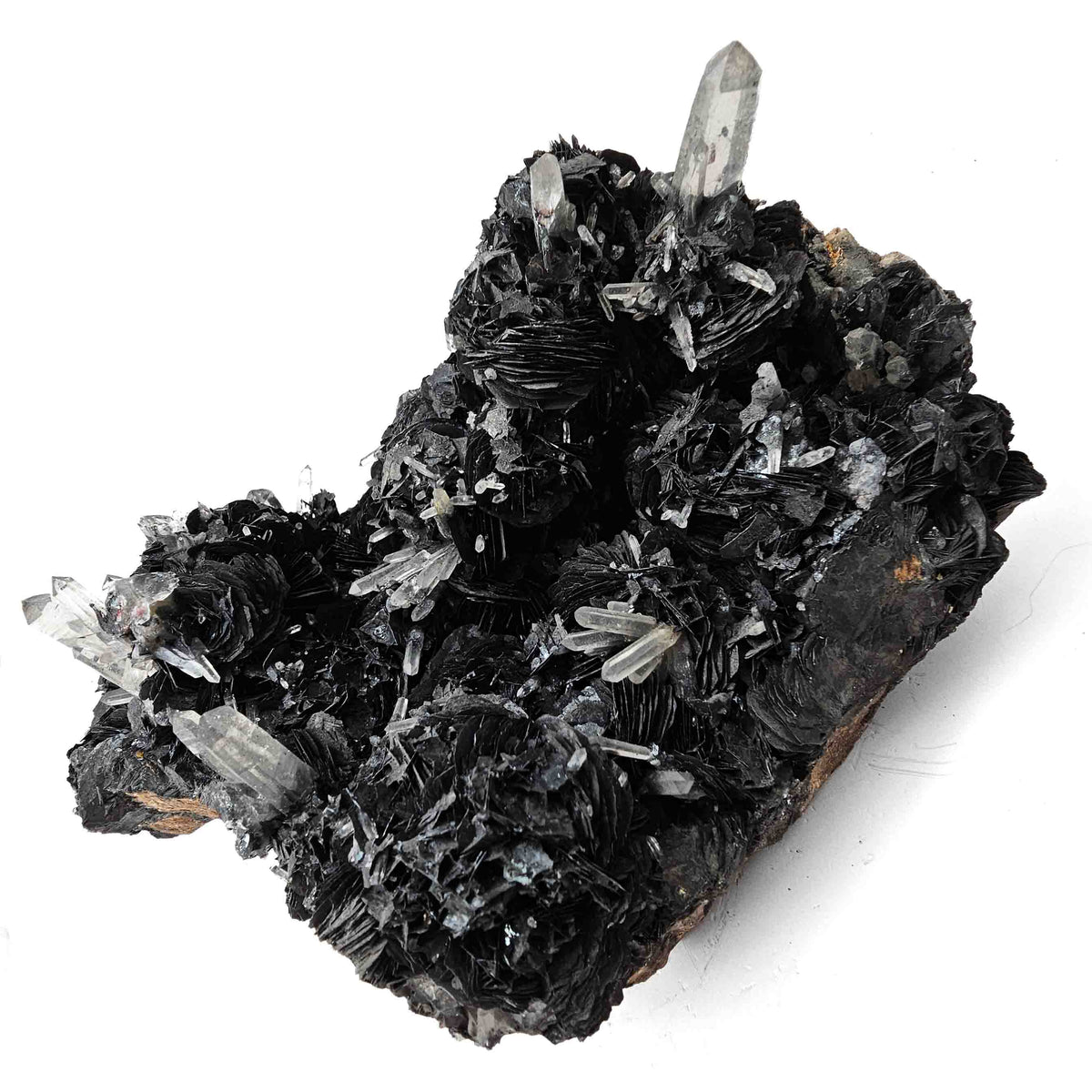 Hematite Roses on Quartz specimen.