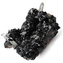Hematite Roses on Quartz - Specimen