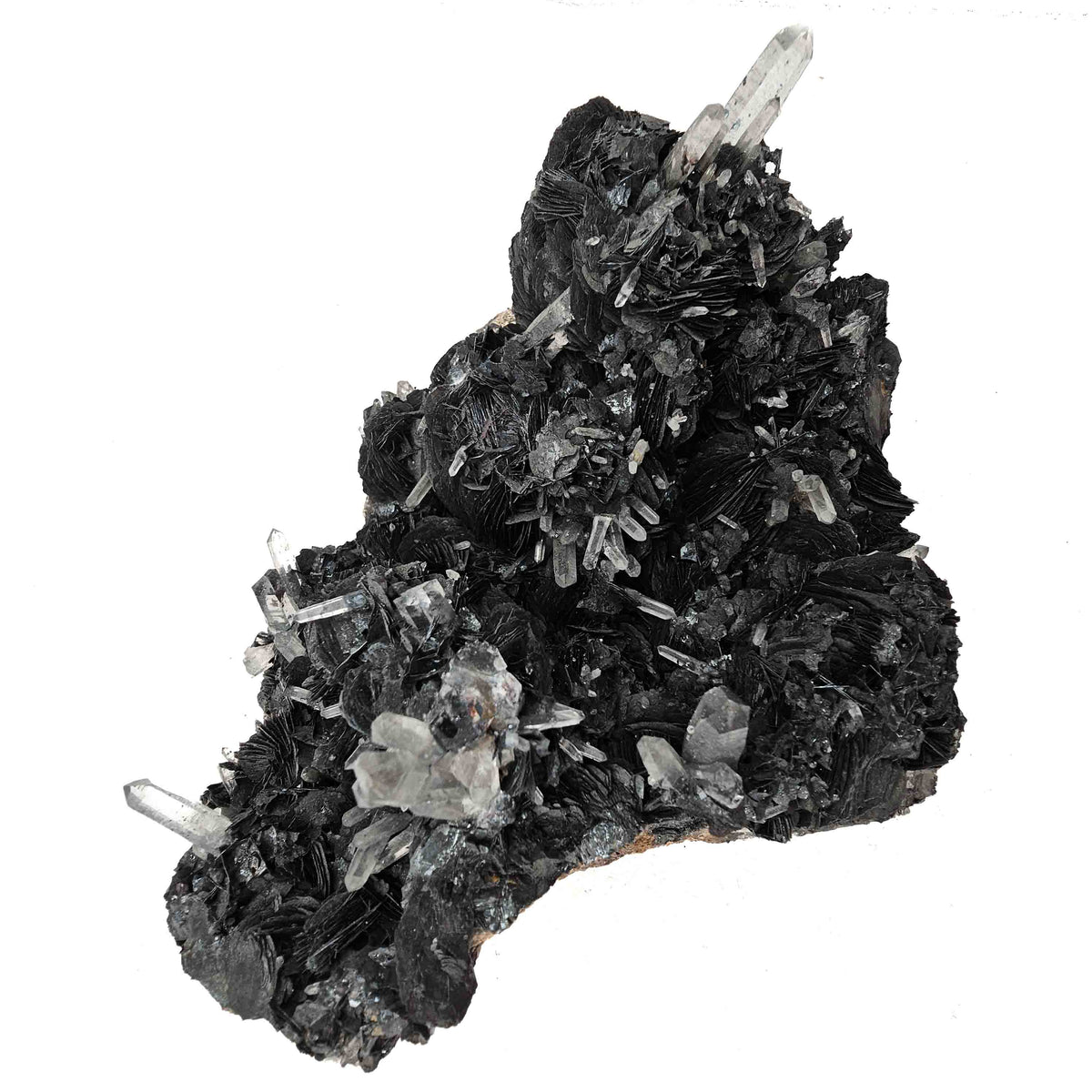Hematite Roses on Quartz specimen.