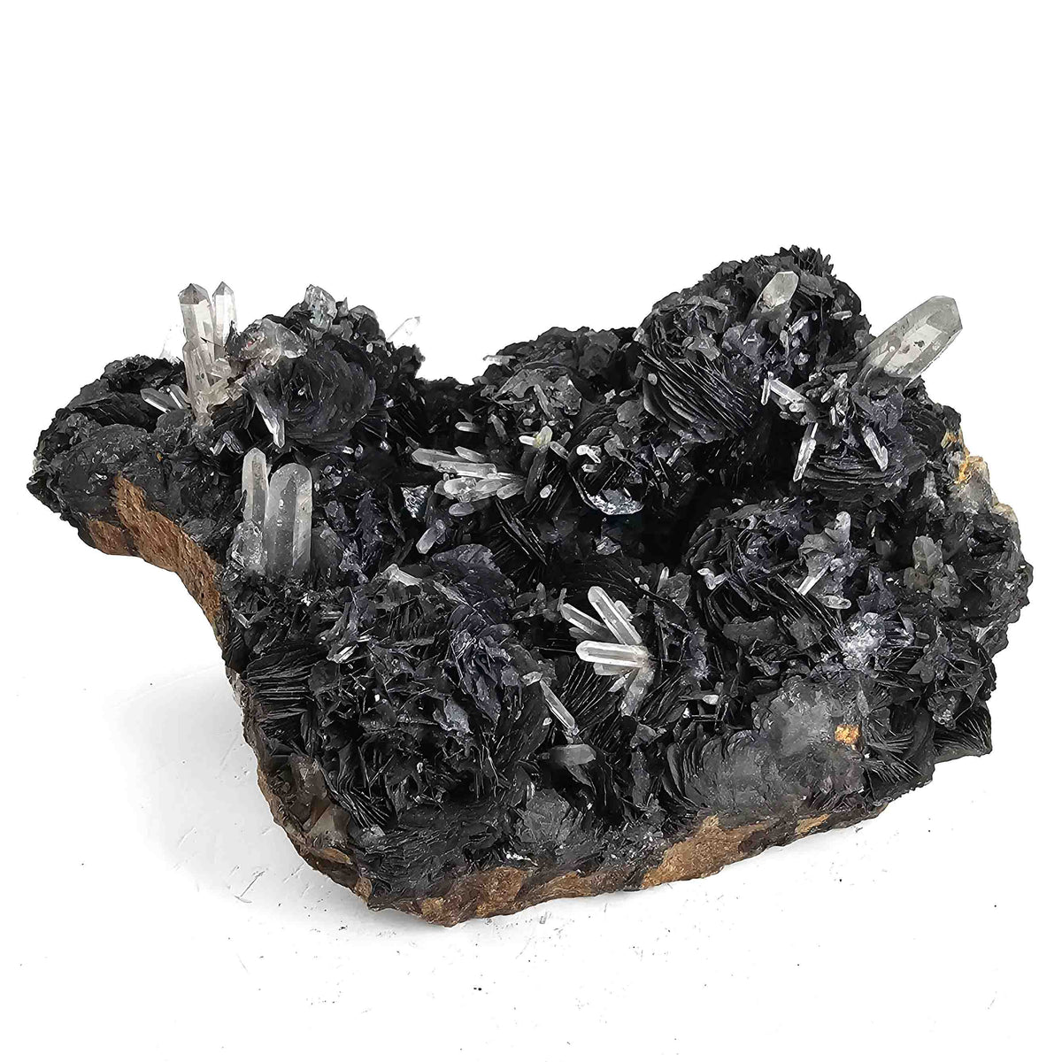 Hematite Roses on Quartz specimen.
