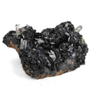 Hematite Roses on Quartz - Specimen