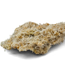 Quartz with Cookeite - Specimen