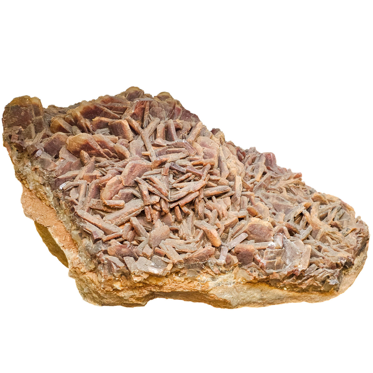Red Barite - Statement Specimen from Morocco, view 1 of 15