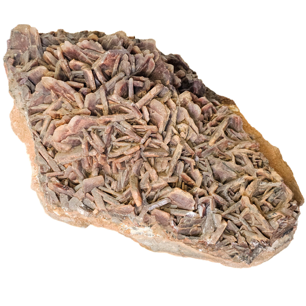 Red Barite - Statement Specimen from Morocco, view 9 of 15