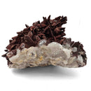 Red Quartz - Specimen