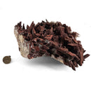 Red Quartz - Specimen