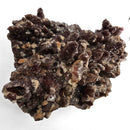 Red Quartz - Specimen