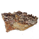 Red Quartz - Specimen