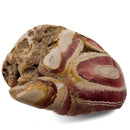 Rhodochrosite - Polished Specimen