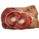 Rhodochrosite - Polished Face Specimen