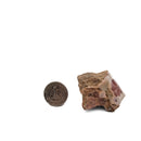 Rhodochrosite - Polished Face Specimen