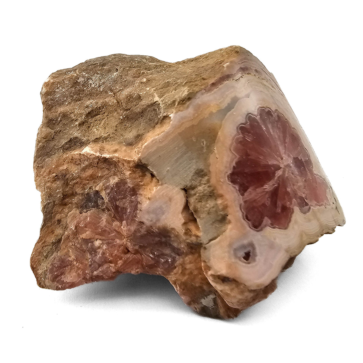 Rhodochrosite polished face specimen from Uchucchacua Mine, Oyón Province, Lima Department, Peru.