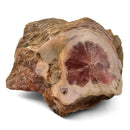 Rhodochrosite - Polished Face Specimen