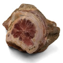 Rhodochrosite - Polished Face Specimen