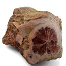 Rhodochrosite - Polished Face Specimen