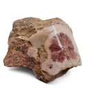 Rhodochrosite - Polished Face Specimen