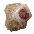 Rhodochrosite - Polished Face Specimen