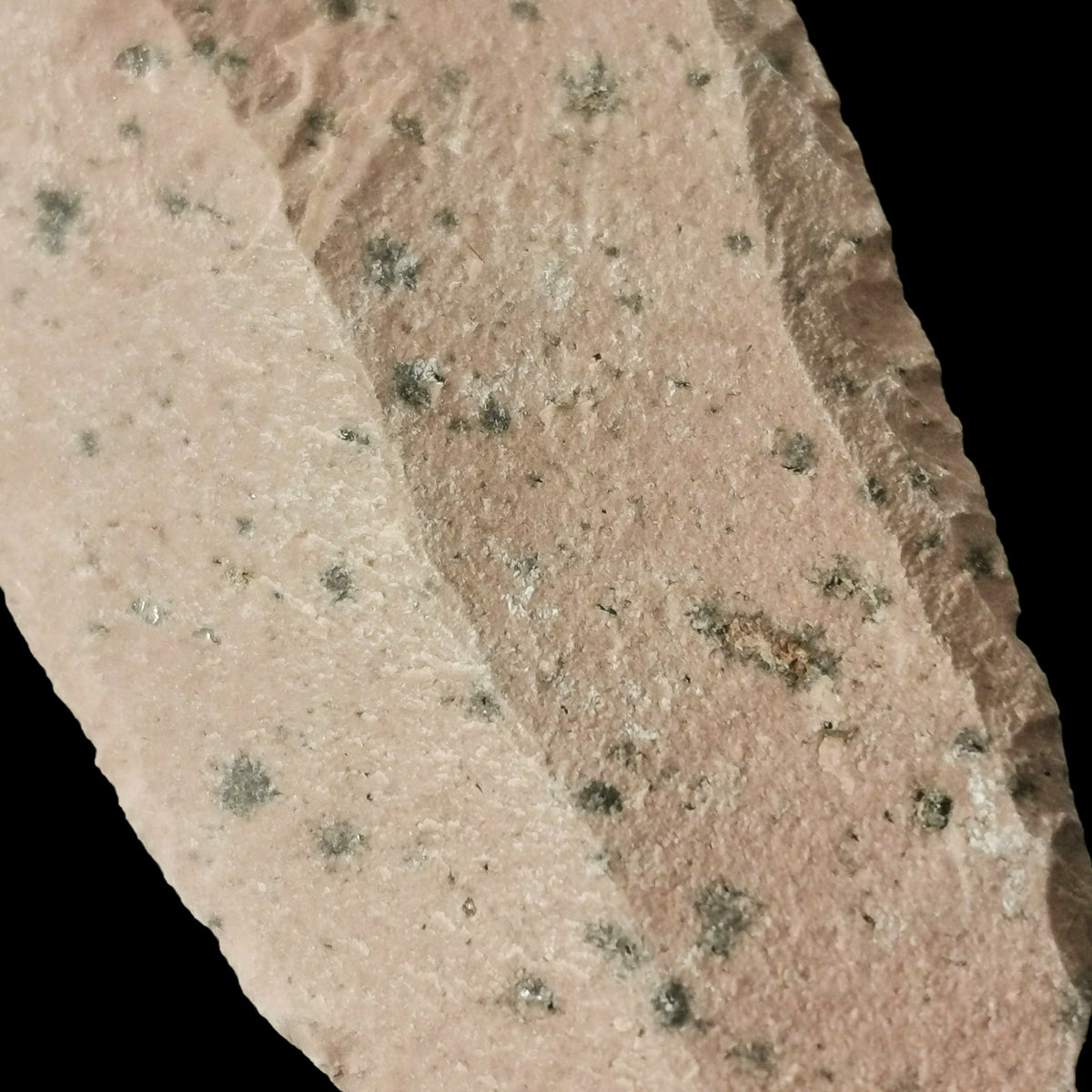 Rhyolite arrowhead from Mexico.