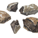 Root Beer Flint - Rough - Texas, USA