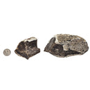 Root Beer Flint - Rough - Texas, USA