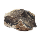 Root Beer Flint - Rough - Texas, USA
